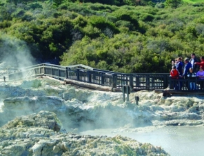 Hells Gate Geothermal park